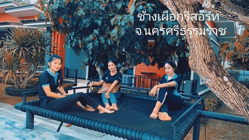Hammock เปลตาข่ายนั่งเล่น ตาข่ายเช็คอินคาเฟ่ ตาข่ายกันตก