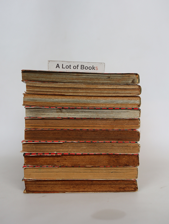 ดราก้อนเควสต์ ภาค แผ่นดินมายา ( 10 เล่มจบ )