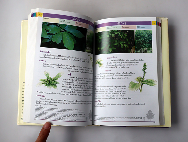 20 ปี สวนสมุนไพร สมเด็จพระเทพรัตนราชสุดา สยามบรมราชกุมารี