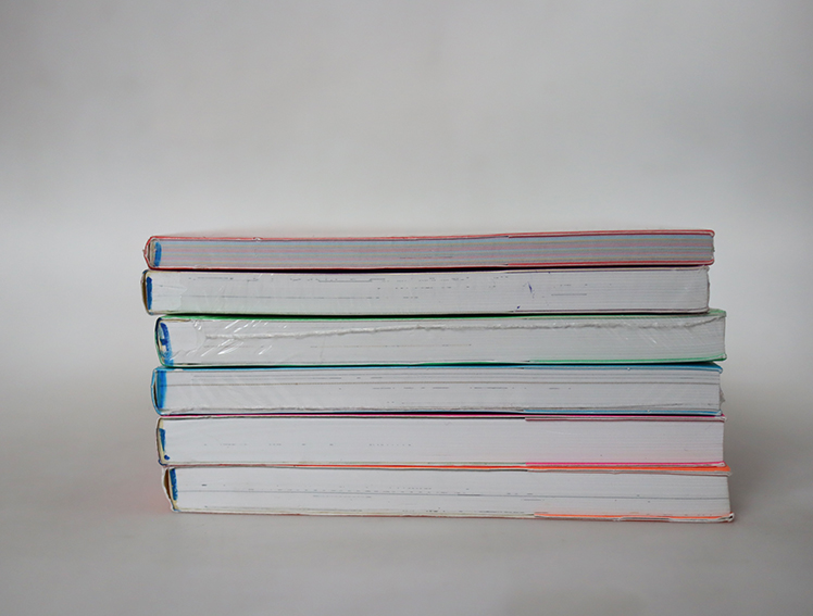 What's Michael เหมียวไม่ธรรมดา ( 6 เล่มจบ )