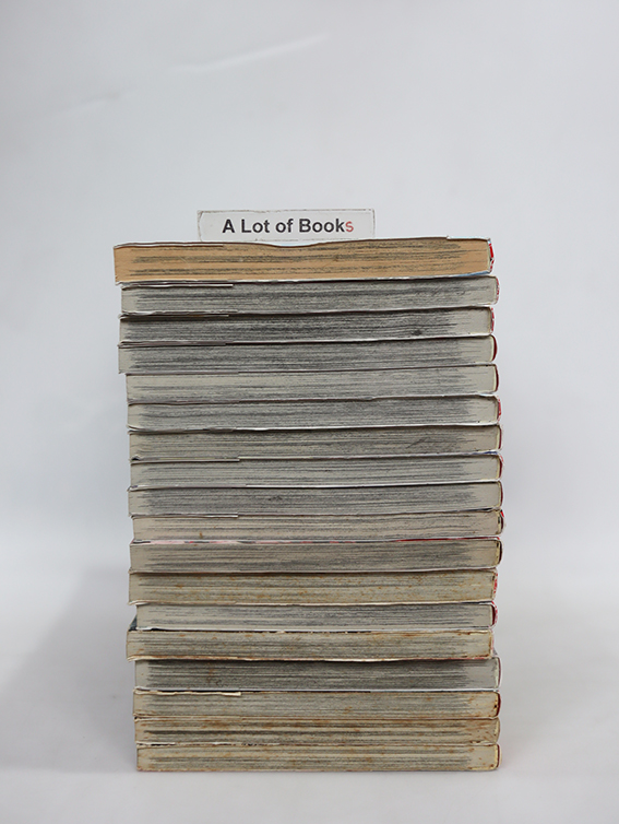 Black Bird ( 18 เล่มจบ )