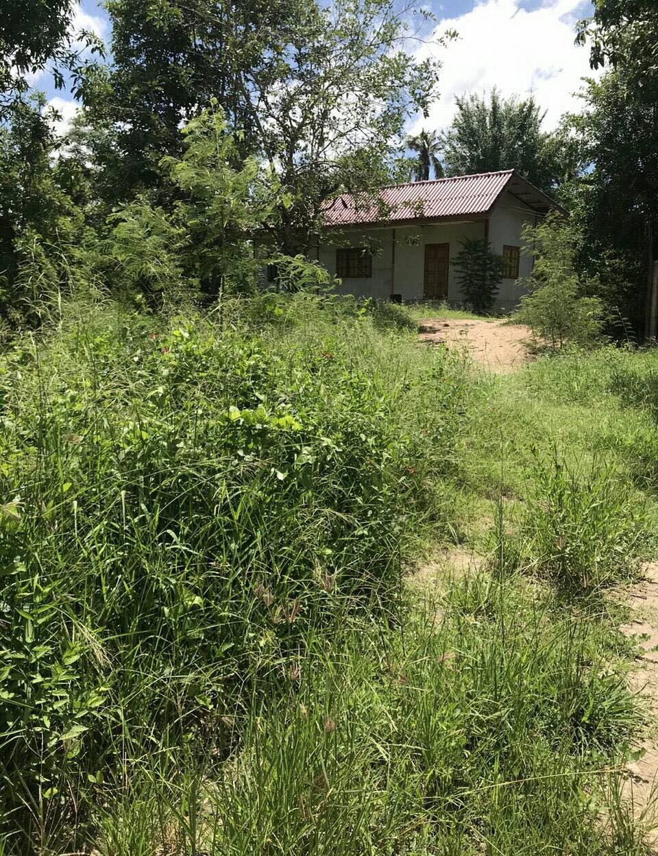 ขายที่ดินโฉนด 28-3-63ไร่ เยื้องกับอบต.วังหามแห ที่ดินสวยมีบ้านด้วย1หลัง ขายราคาถูก