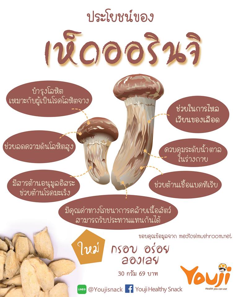 เห็ดออรินจิทอดกรอบปรุงรส Youji : Healthy Hut