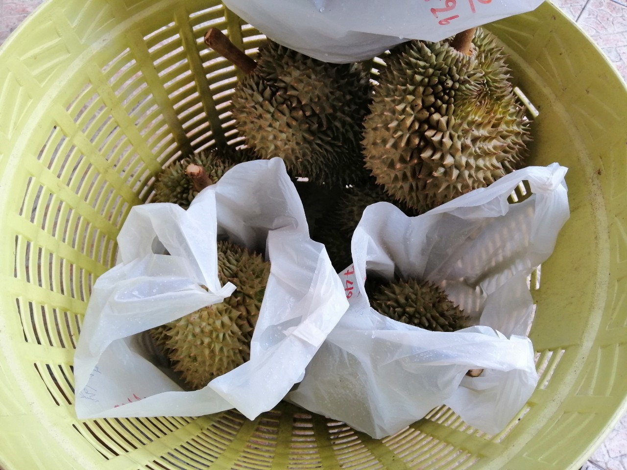 ทุเรียน เกรดพรีเมียม