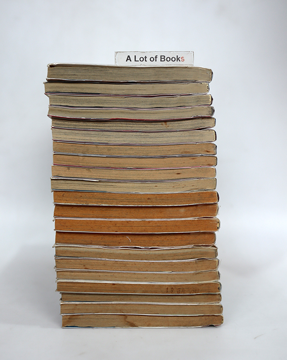 ซึบารุ สิงห์น้อยนักกอล์ฟ ( 21 เล่มจบ )