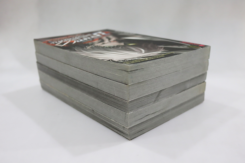 บริษัทพิทักษ์คุณหนู ( แยกเล่ม )