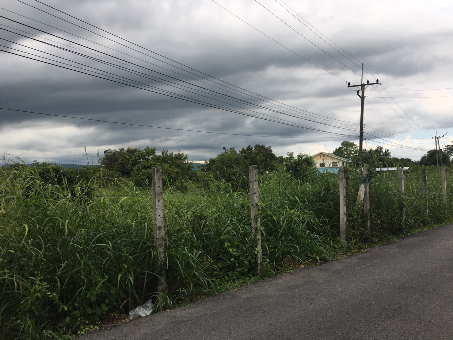 ขายที่ดินติดวัดหลวงพ่อปากแดง พื้นที่ 2 ไร่ 2 งาน 1ตารางวา ต.สาลิกา อ.เมือง จ.นครนายก