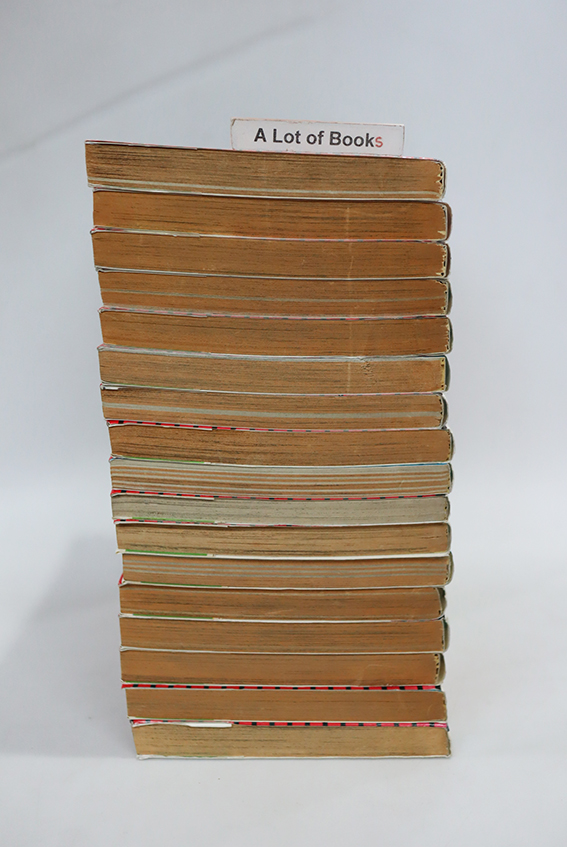 AI Revolution( 17 เล่มจบ )