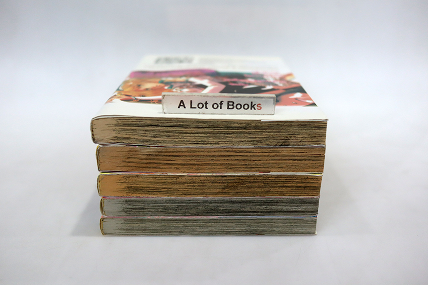 มิโกะแห่งโลกกระจก อายากะ ( 5 เล่มจบ)