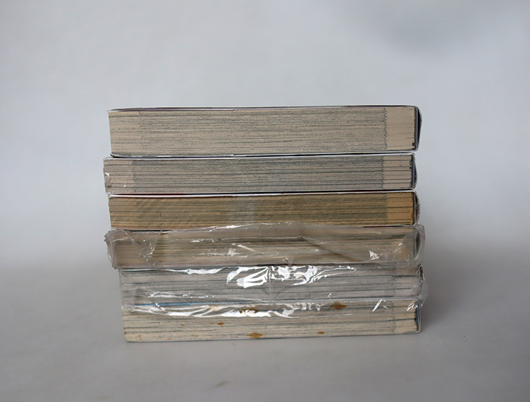 Golosseum (6 เล่มจบ )