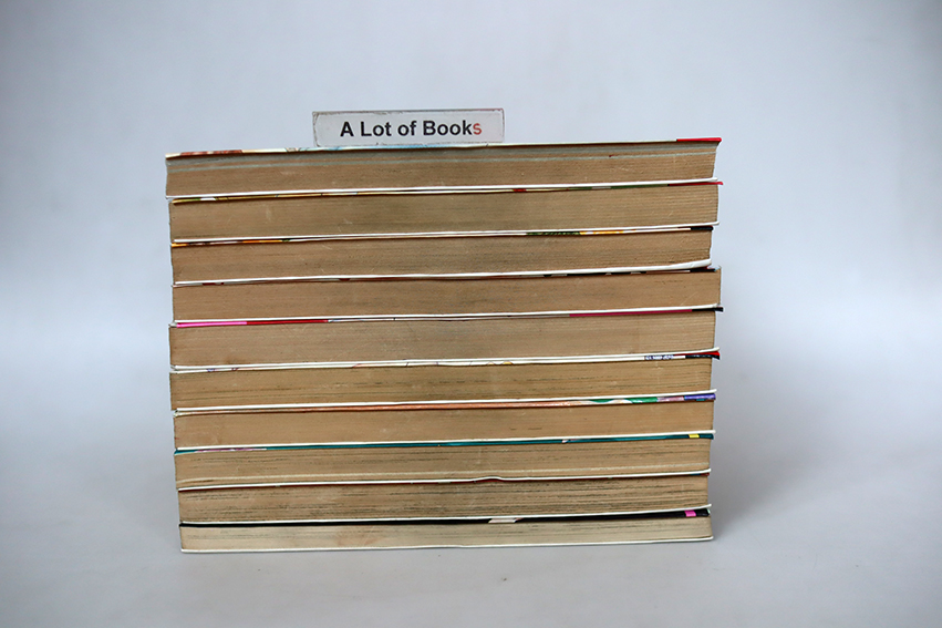 เขาคนนี้ผีดูดเลือด ( 9 เล่มจบ )