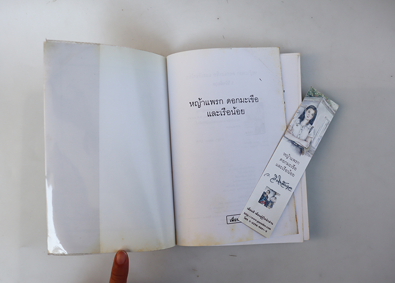 หญ้าแพรก ดอกมะเขือ และเรือน้อย