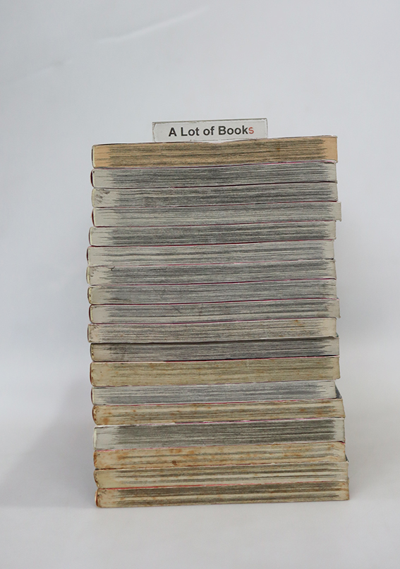 Black Bird ( 18 เล่มจบ )