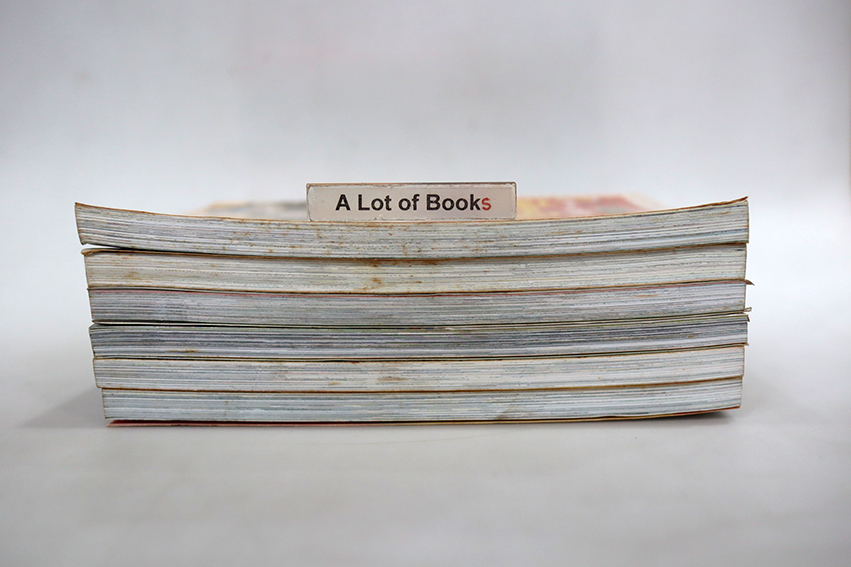 การ์ตูนเรียนรู้ มรดกโลกแสนสนุก