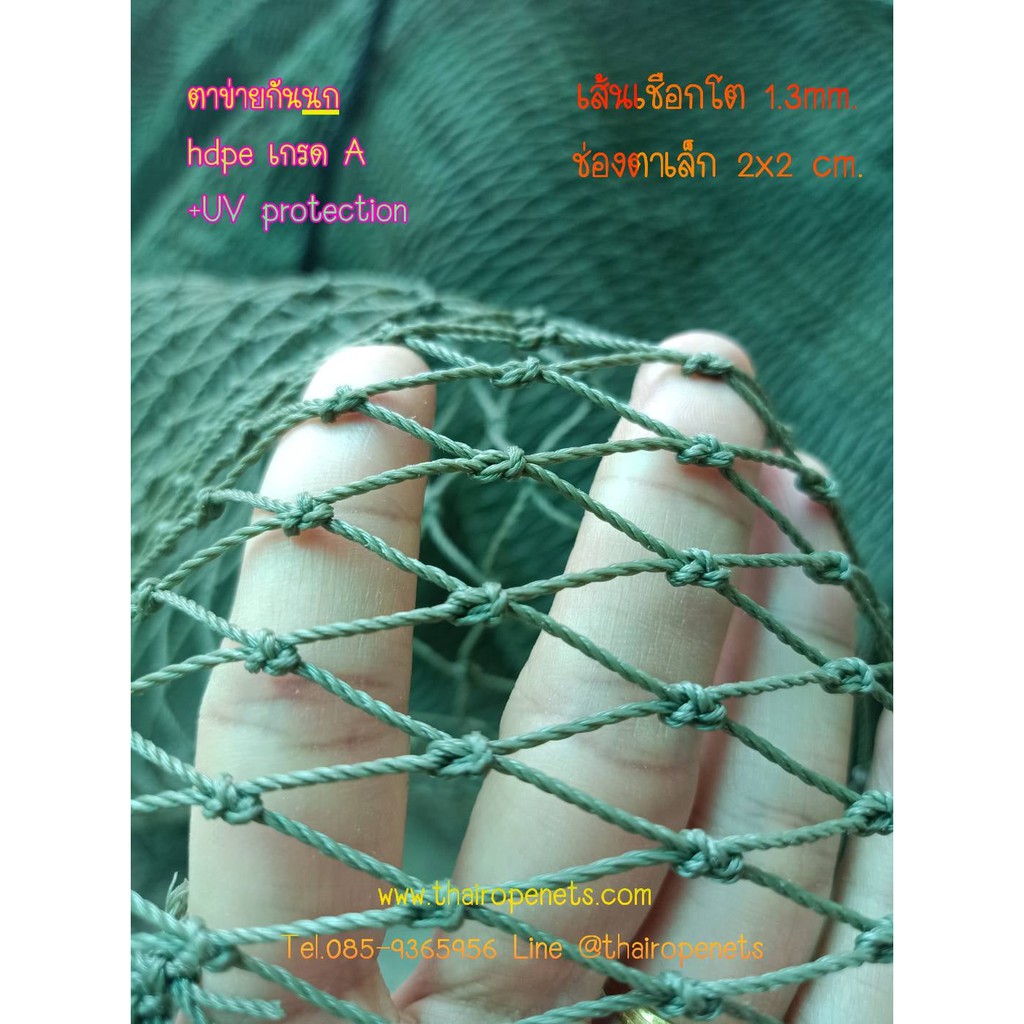 ตาข่ายล้อมโรงงานอุตสาหกรรม กันนก ล้อมฟาร์มสุกร ยกม้วน 160 ตร.ม. ขนาด 1.3 mm. ช่องตา 2 x 2 cm. สีเขียวขี้ม้า