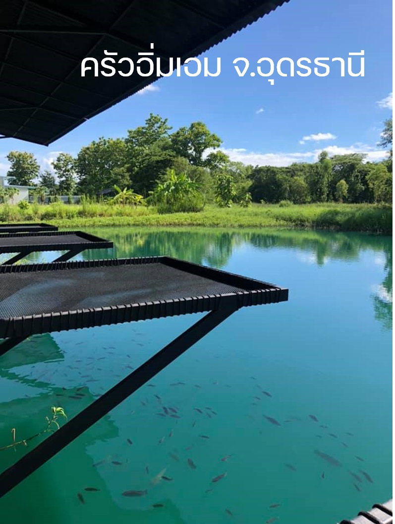 Hammock เปลตาข่ายนั่งเล่น ตาข่ายเช็คอินคาเฟ่ ตาข่ายกันตก