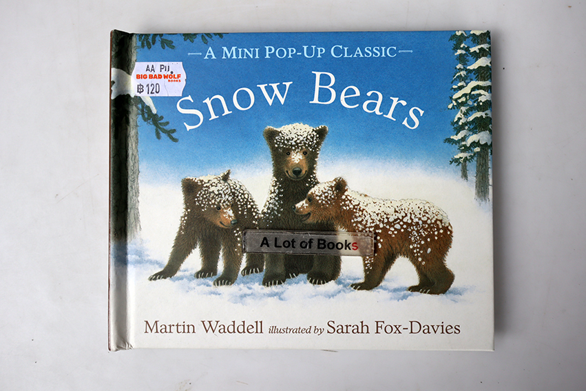 Snow bears