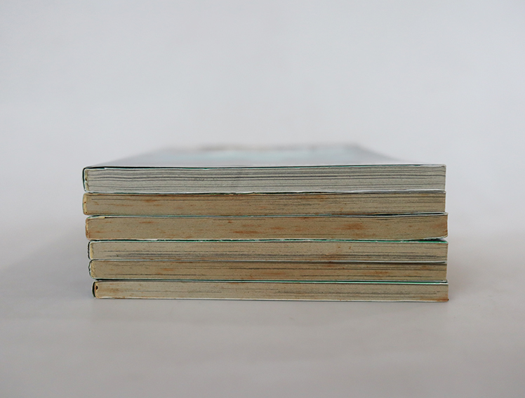 The ring คำสาปมรณะ ( ครบชุด 6 เล่ม )