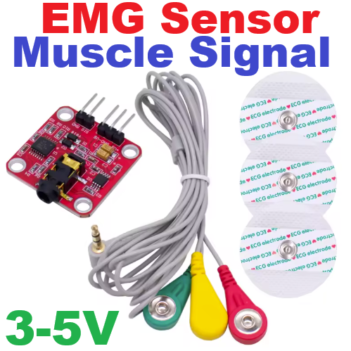 เซนเซอร์วัดกล้ามเนื้อ Muscle signal sensor Emg sensor controller detects muscle activity for Arduino development board for wearable devices