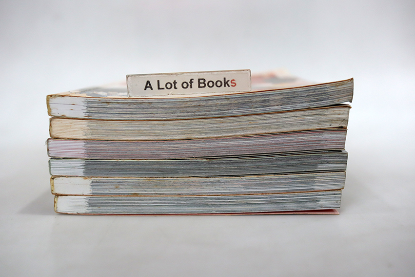 การ์ตูนเรียนรู้ มรดกโลกแสนสนุก