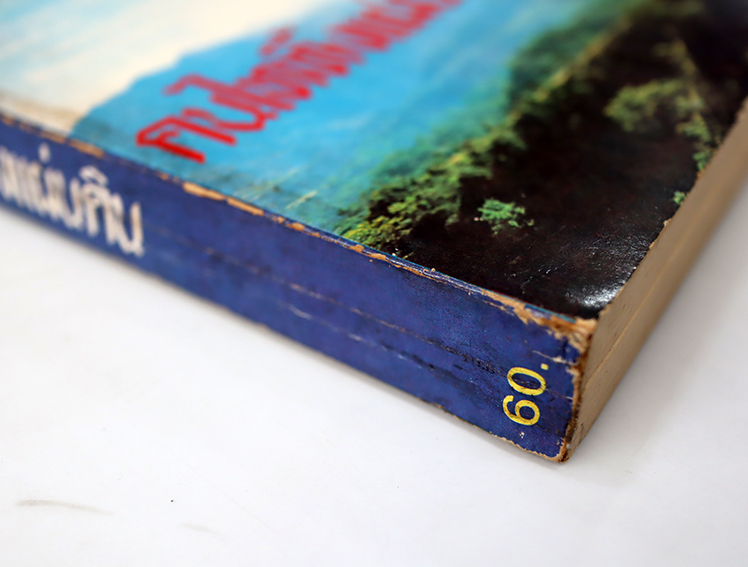 คนไททิ้งแผ่นดิน