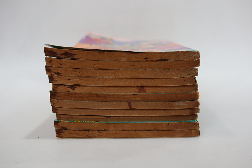 ฤทธิ์วิชชุม่วง ( 11 เล่มจบ )