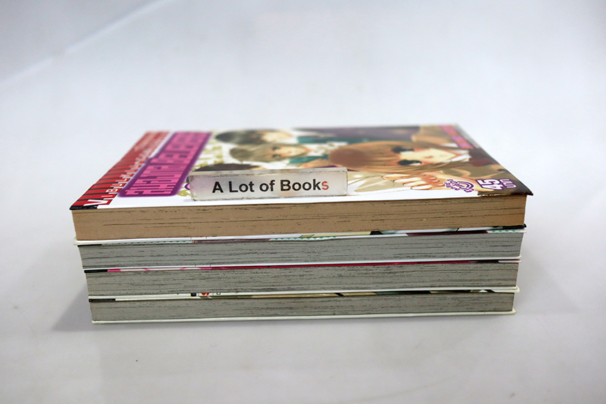 สมองกล Believers ( 4 เล่มจบ)