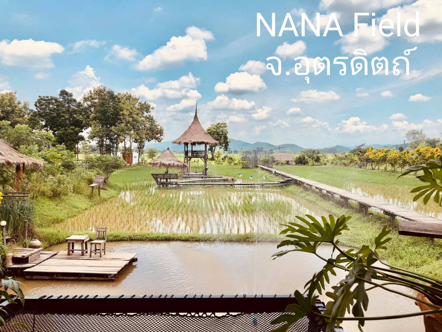 Hammock เปลตาข่ายนั่งเล่น ตาข่ายเช็คอินคาเฟ่ ตาข่ายกันตก