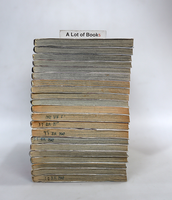 ซึบารุ สิงห์น้อยนักกอล์ฟ ( 21 เล่มจบ )