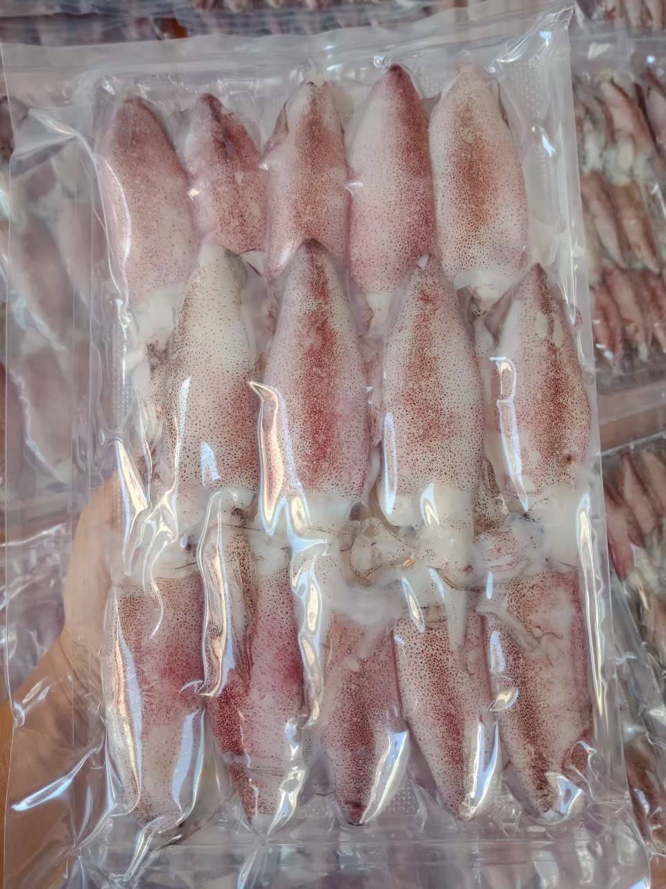 หมึกไข่แดดเดียว 500 กรัม