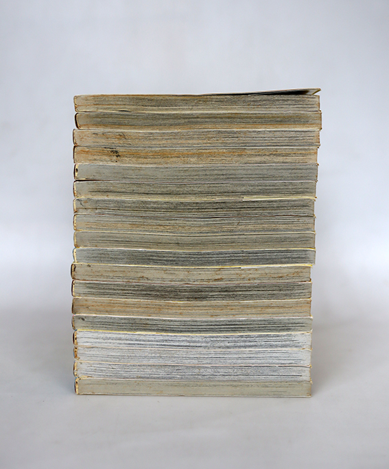 พลิกตำนานมาพบรัก ( 18 เล่มจบ )