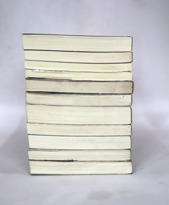 นิยายแจ่มใส เลิฟซีรี่ย์ - เจ้าหญิงผู้เลอโฉม