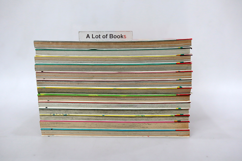 แง้วแง้ว แมวอย่างเดียวไม่เกี่ยวกับคน ( 13 เล่มจบ )