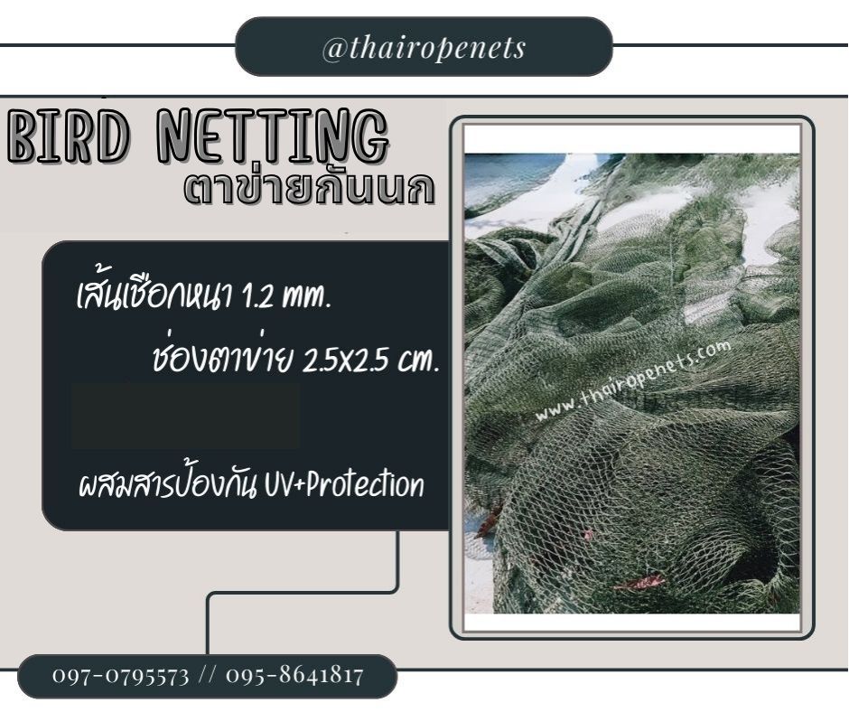 ตาข่ายล้อมรั้วกันนกพิราบ bird netting ความสูง 5 เมตร รุ่นหนา 1.2 มิล ช่องตา 2.5x2.5 cm. สีเขียวขี้ม้า กดเลือกความยาวตามต้องการได้เลยค่ะ