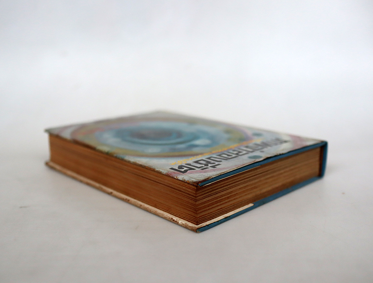 ภาพจำลองชีวิต