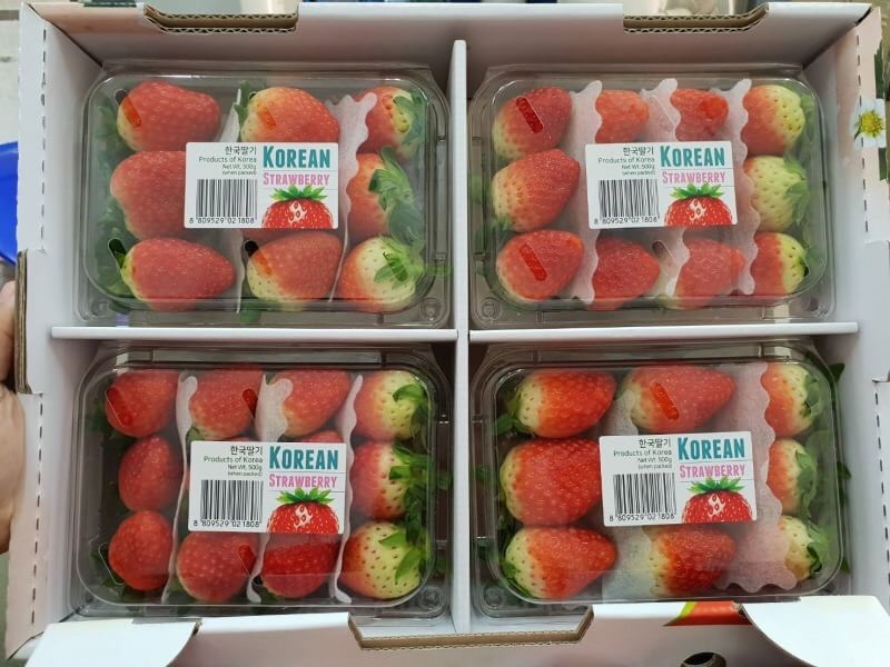 สตรอเบอร์รี่เกาหลี Korean Strawberry