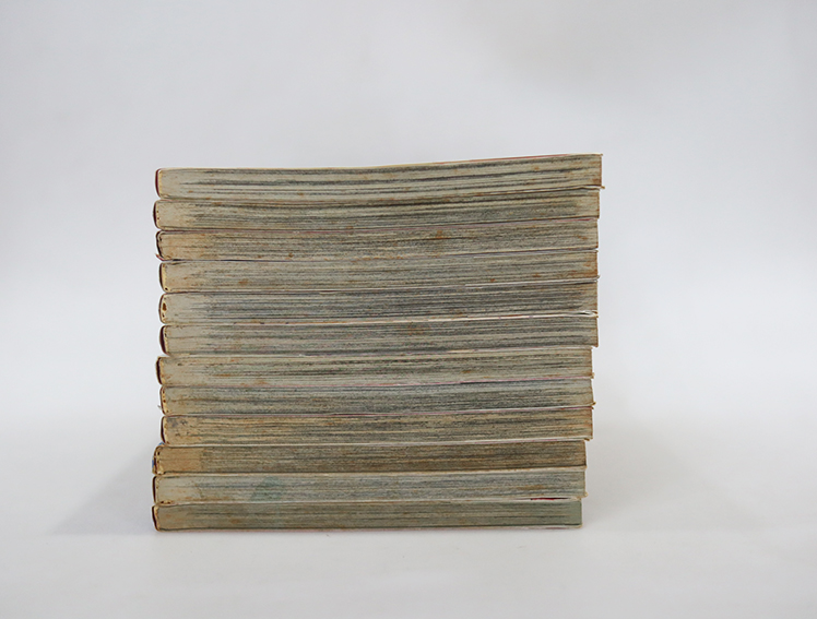 รักร้อนซ่อนกล ( 12 เล่มจบ )