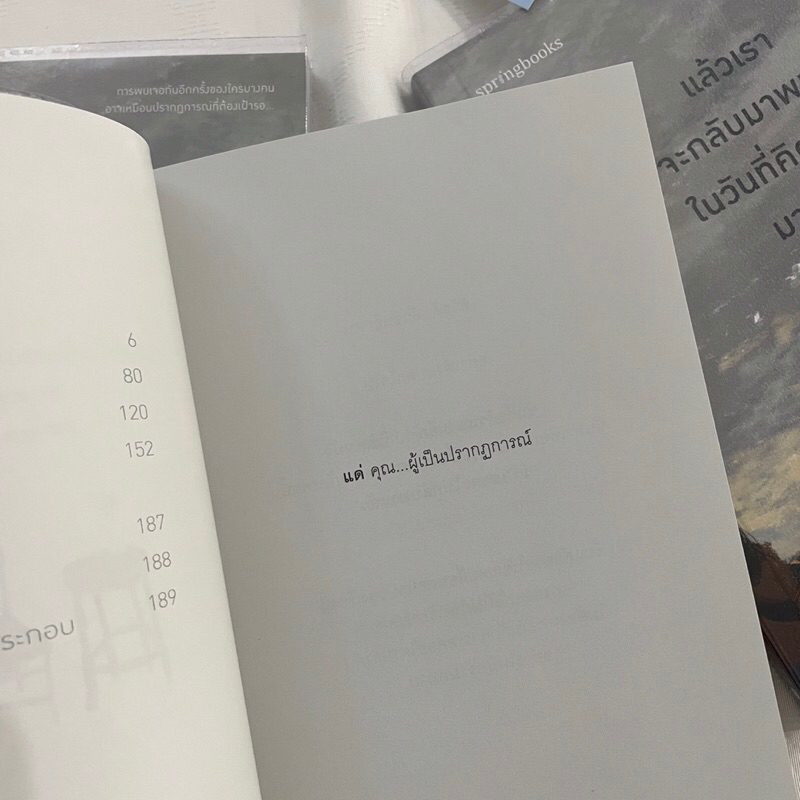 แล้วเราจะกลับมาพบกันในวันที่คิดถึงมากพอ /ผู้เขียน: อิสญะ /สำนักพิมพ์: Springbooks (สปริงบุ๊กส์)