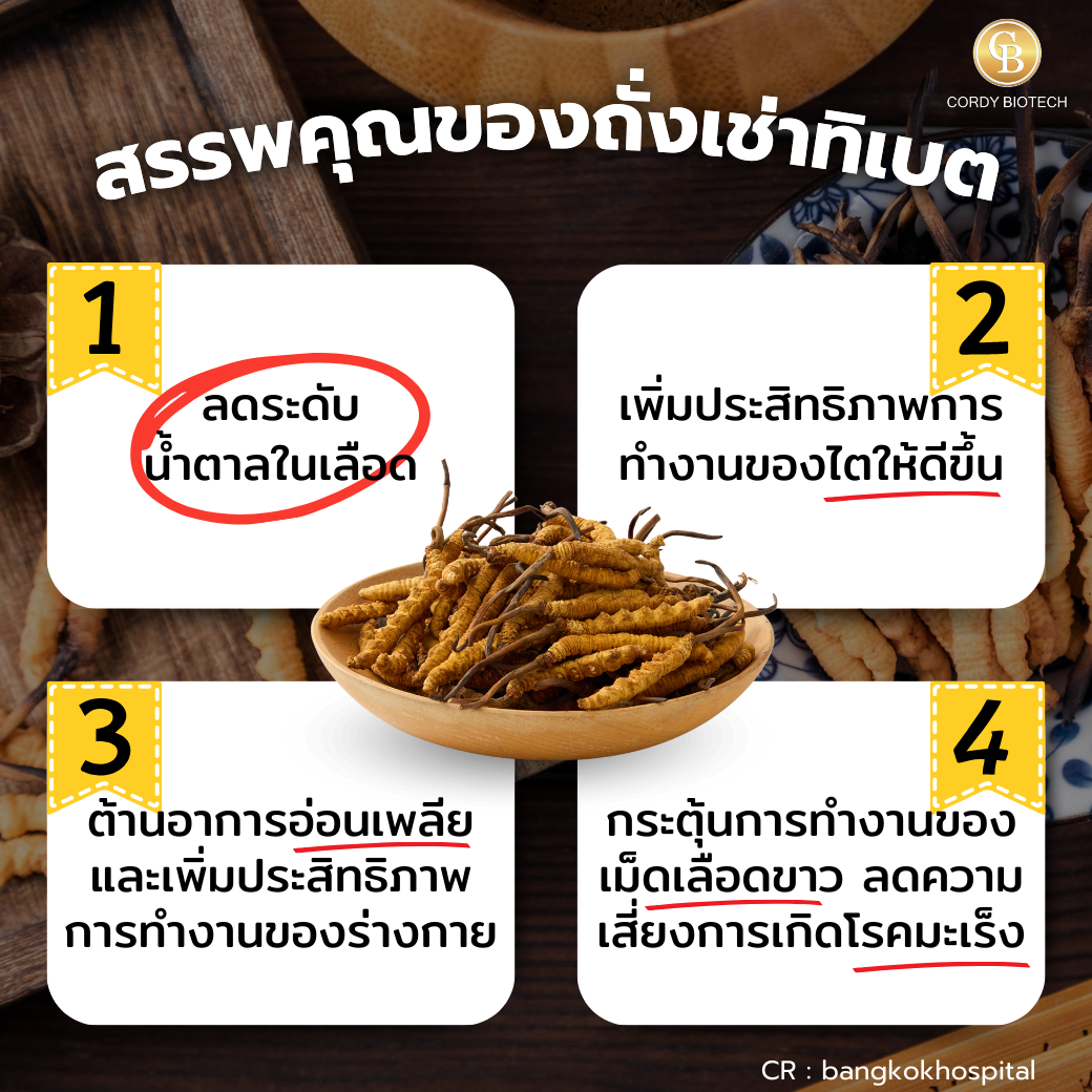Promotion (4กป. 5,400.-) Cordythai(60) Him4