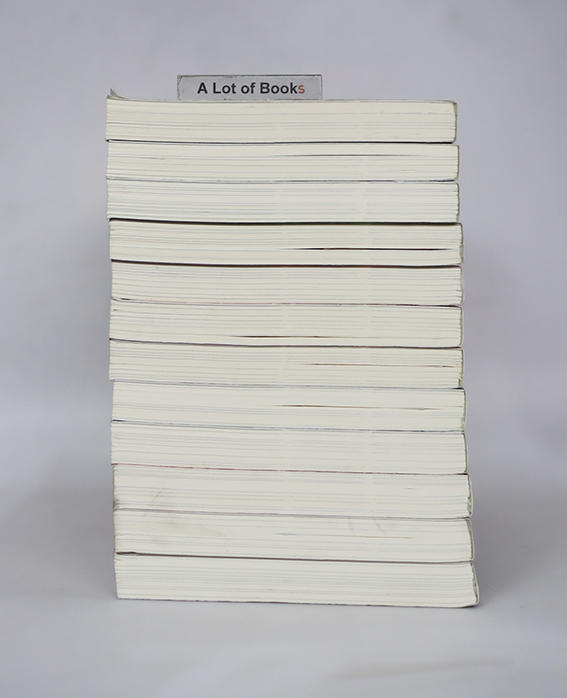 ย้อนเวลาขึ้นเป็นอ๋อง ภาค 2 ( 12 เล่มจบ )