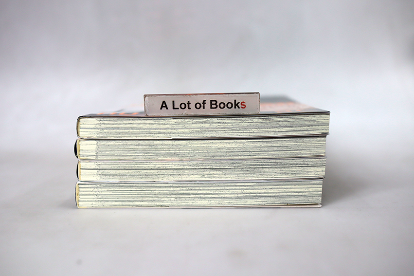 วิธีรักกับแฟนแมวดำ +วิธีเล่นกับแฟนแมวดำ+วิธีเอาใจแฟนแมวดำ