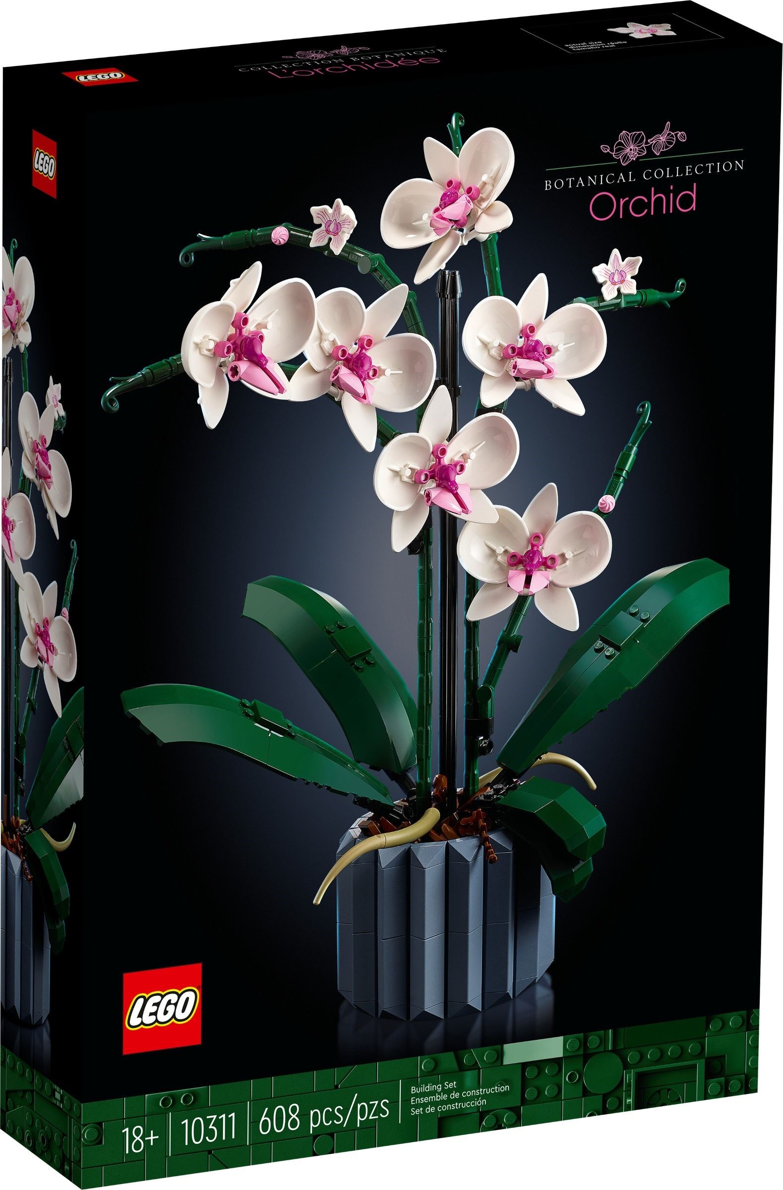 LEGO เลโก้ 10311 Orchid