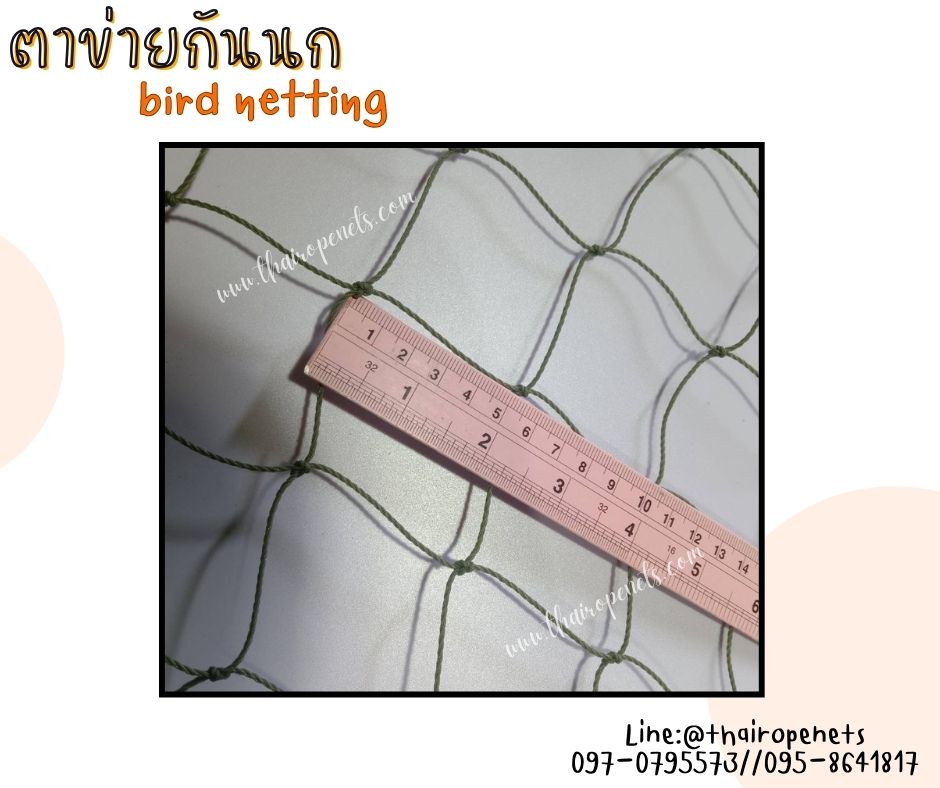 ตาข่ายกันนกเข้าโรงงาน bird netting สีเขียวขี้ม้า ความสูง 5 เมตร รุ่น 1.5 มิล ช่องตา 2x2 นิ้ว กดเลือกความยาวตามต้องการได้เลย