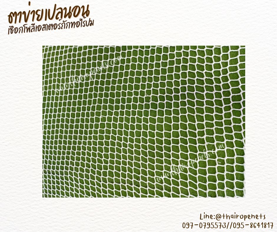 ตาข่ายเปลนอนสีขาว เชือกโพลีเอสเตอร์ถักทอไร้ปม ไร้รอยต่อ เชือกหนา 5 มิล ช่องตา 5x5 cm. ใช้งานกลางแจ้งได้ดี รับทำตามขนาดที่ต้องการ