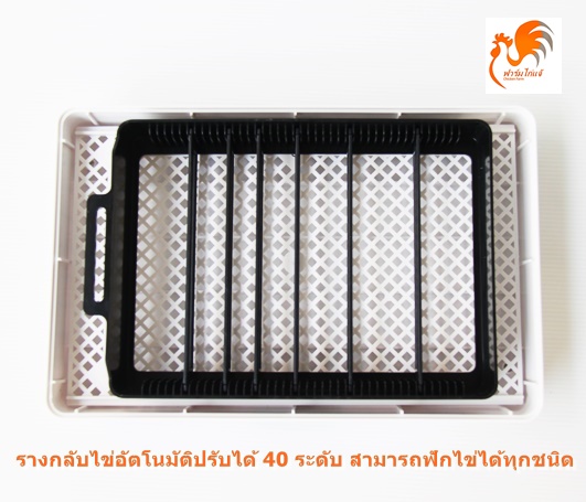 เครื่องฟักไข่อัตโนมัติ 12/35 ฟอง ตู้ฟักไข่ ตู้อบไข่ ฟักไข่ได้หลายขนาด ไข่ไก่ ไข่ห่าน ไข่นกกระทา