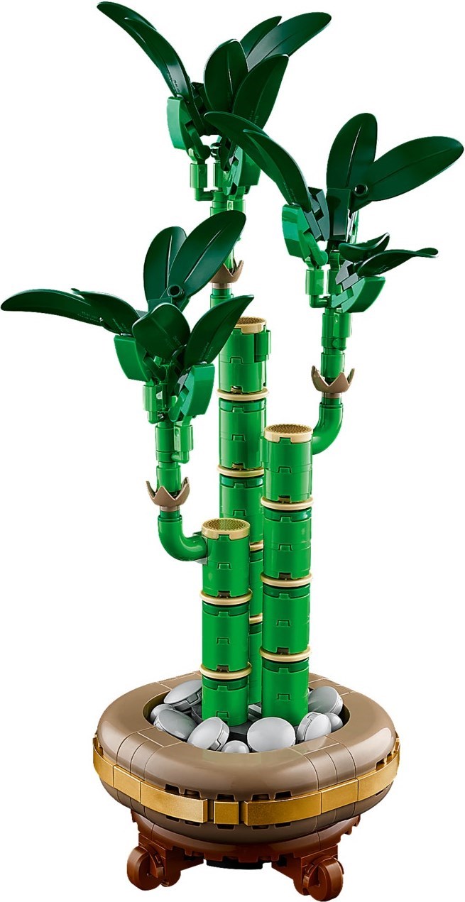 LEGO Botanical เลโก้ 10344 Lucky Bamboo