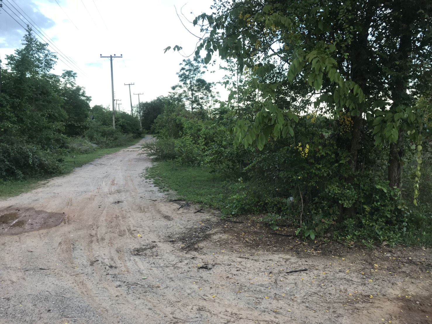 ขายด่วน!!!ที่ดินเปล่า 2 ไร่ โครงการ เค.วี.แลนด์