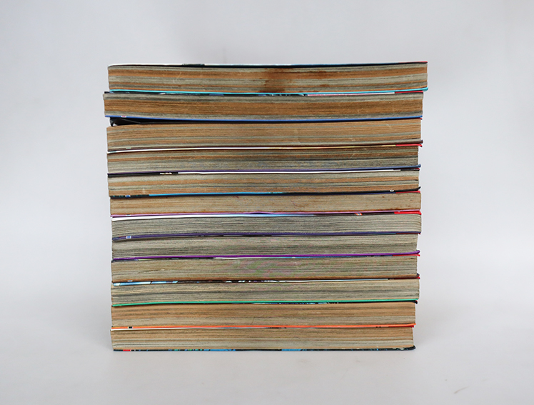 จอมลุยทะเลคลั่ง ( 12 เล่มจบ )