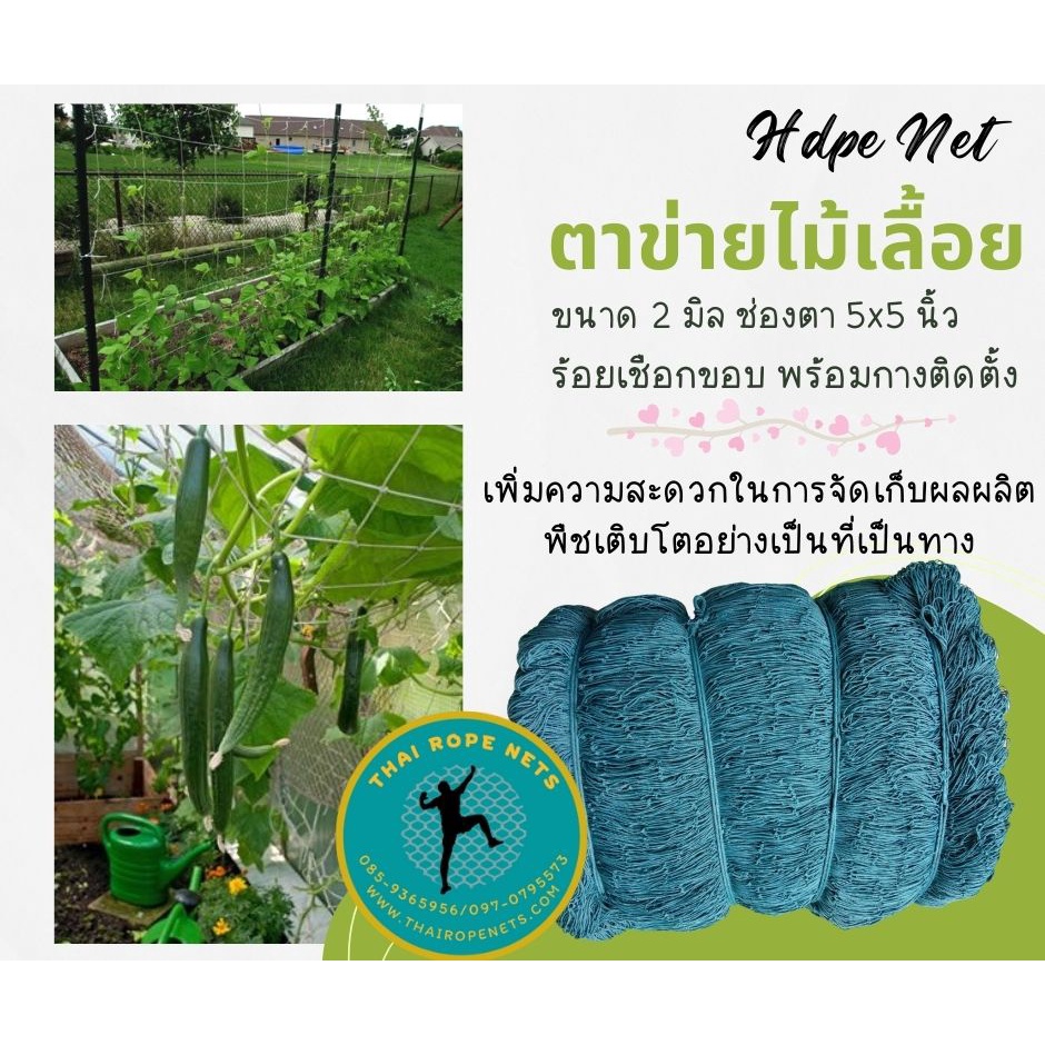 ตาข่ายปลูกไม้เลื้อย ตาข่ายทำค้างผักตาข่ายปลูกแตงกวา ปลูกฟักทอง ค้างปลูกผัก พร้อมร้อยเชือกขอบ มีขนาดให้เลือก ติดตั้งง่าย