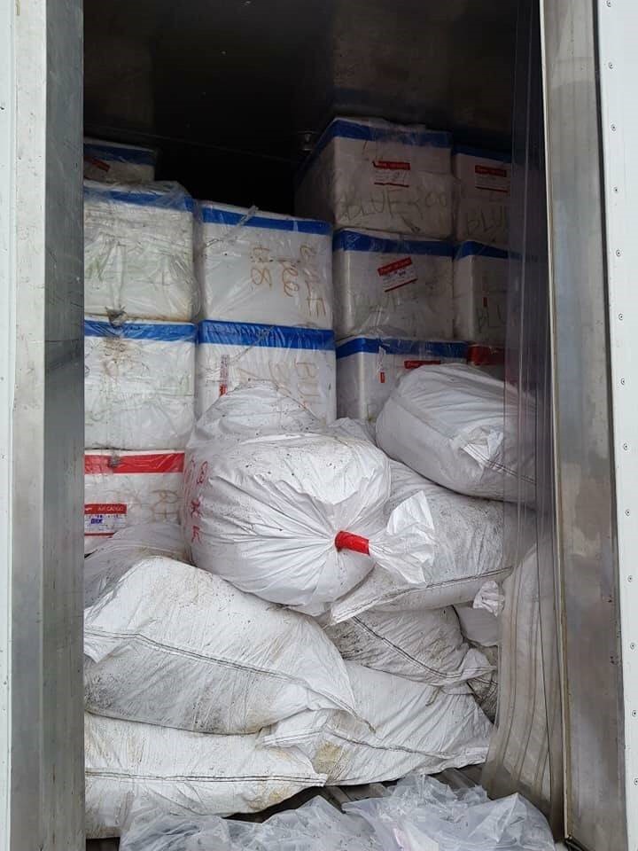 กุ้งจัมโบ้